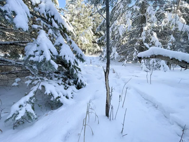 $304,000 | Tbd1 161st Avenue, Clearbrook, MN 56634