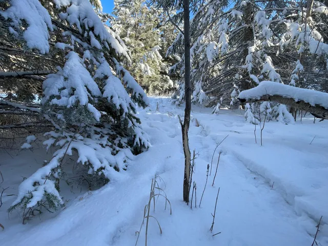 $304,000 | Tbd1 161st Avenue, Clearbrook, MN 56634