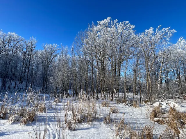 $304,000 | Tbd1 161st Avenue, Clearbrook, MN 56634