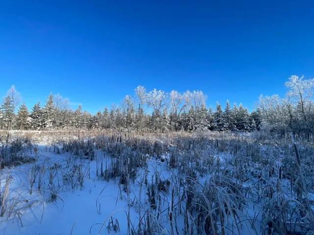 $304,000 | Tbd1 161st Avenue, Clearbrook, MN 56634