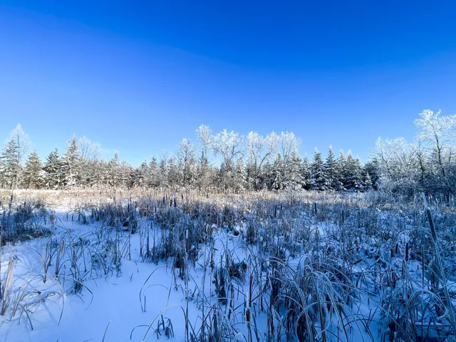 $304,000 | Tbd1 161st Avenue, Clearbrook, MN 56634