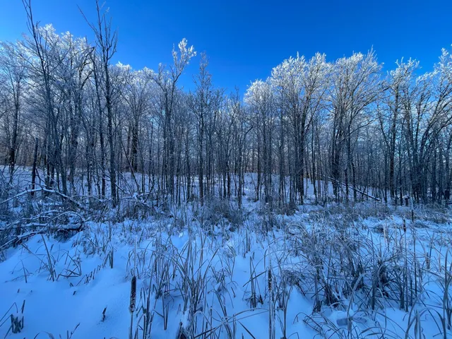 $304,000 | Tbd1 161st Avenue, Clearbrook, MN 56634