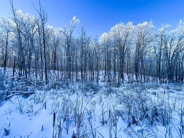 $304,000 | Tbd1 161st Avenue, Clearbrook, MN 56634