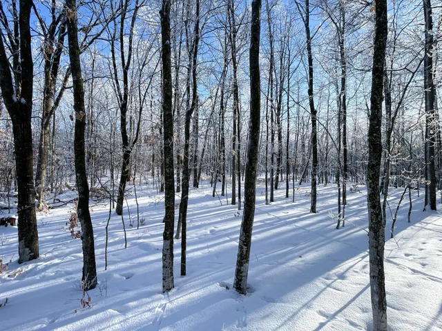 $304,000 | Tbd1 161st Avenue, Clearbrook, MN 56634