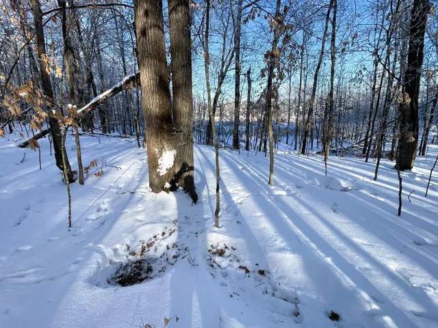 $304,000 | Tbd1 161st Avenue, Clearbrook, MN 56634