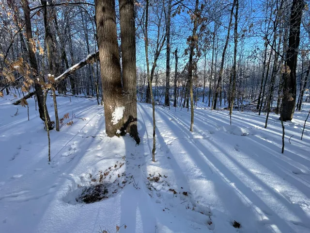 $304,000 | Tbd1 161st Avenue, Clearbrook, MN 56634