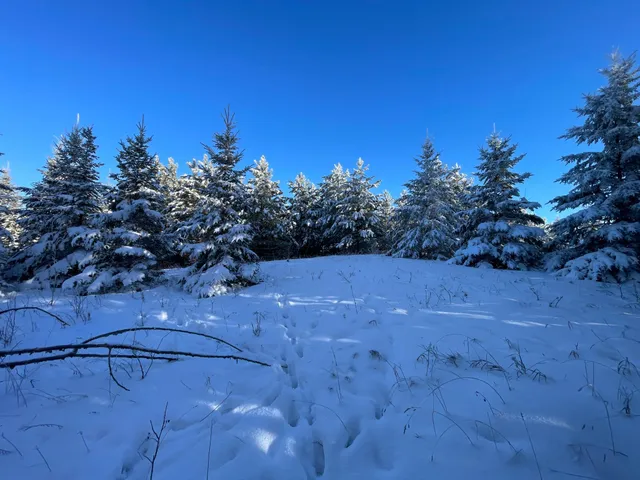 $304,000 | Tbd1 161st Avenue, Clearbrook, MN 56634