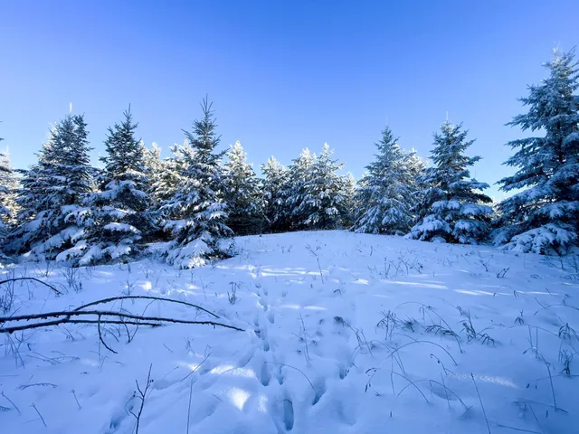 $304,000 | Tbd1 161st Avenue, Clearbrook, MN 56634