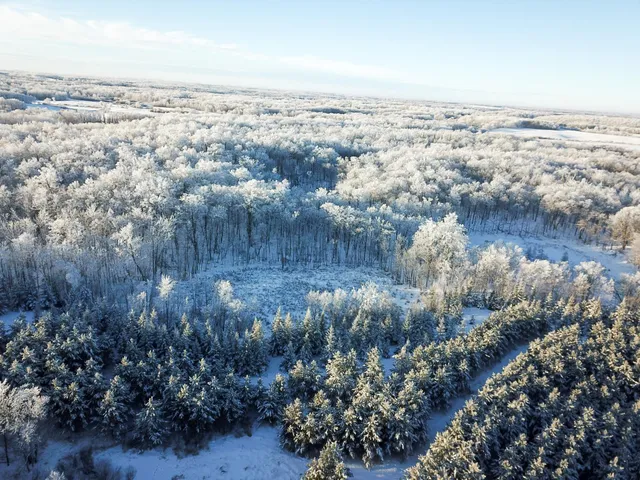 $304,000 | Tbd1 161st Avenue, Clearbrook, MN 56634