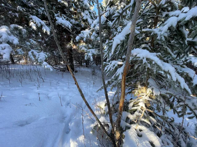 $304,000 | Tbd1 161st Avenue, Clearbrook, MN 56634