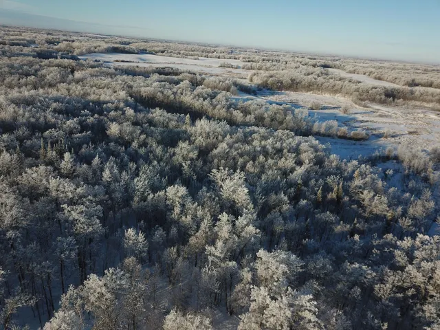 $304,000 | Tbd1 161st Avenue, Clearbrook, MN 56634