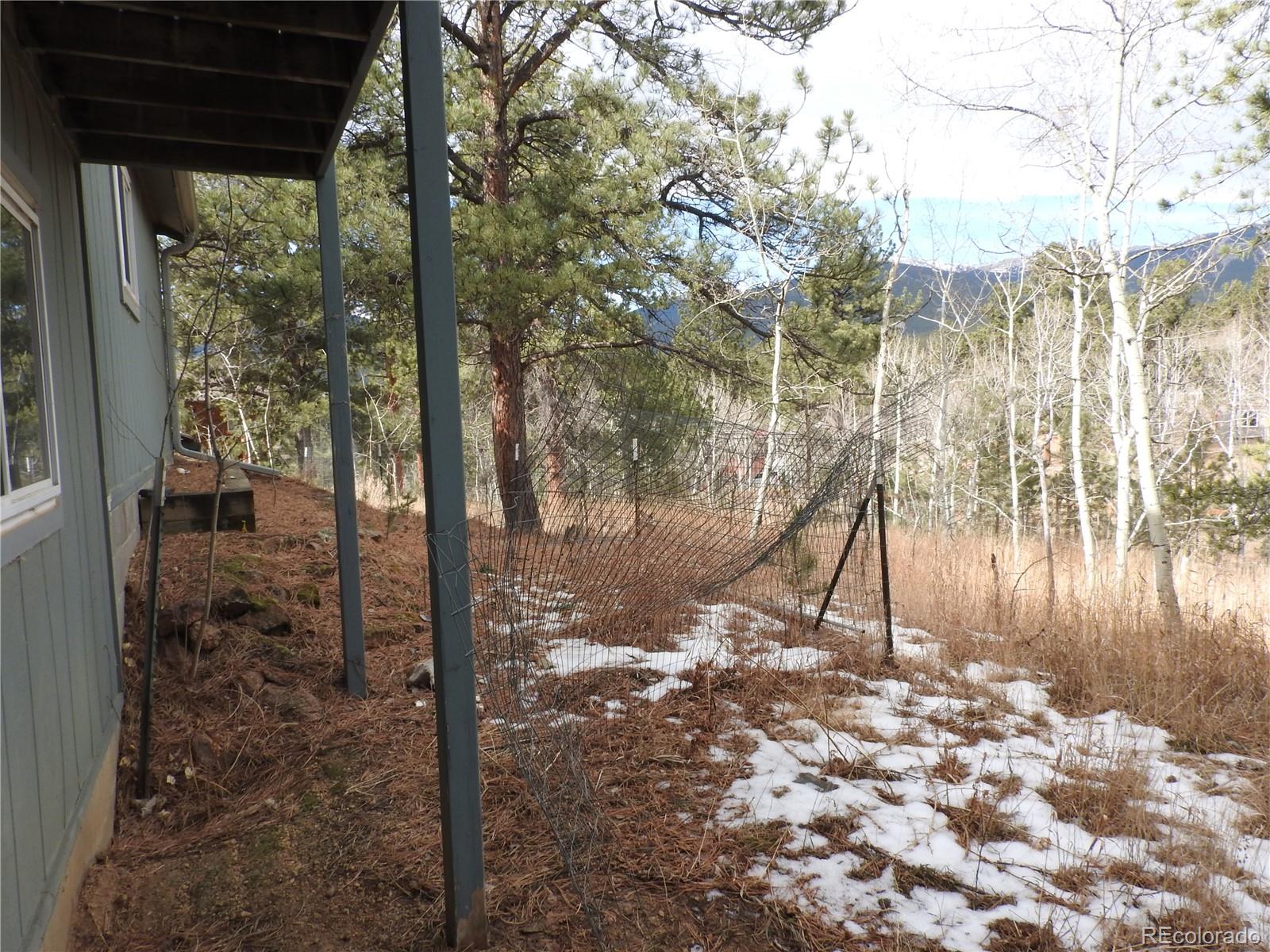 426 Houston Street Bailey, CO 80421 - Photo 32 of 47