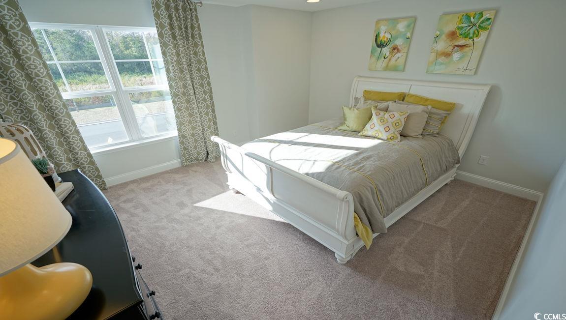 1228 Barrington Way Conway, SC 29526 - Photo 34 of 39