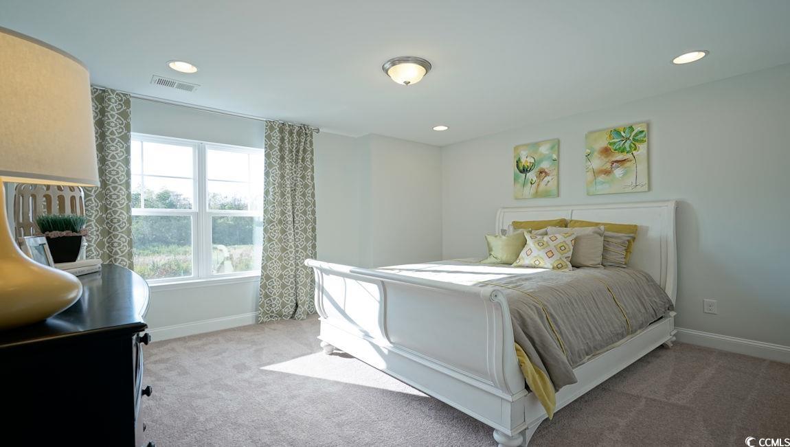 1228 Barrington Way Conway, SC 29526 - Photo 35 of 39