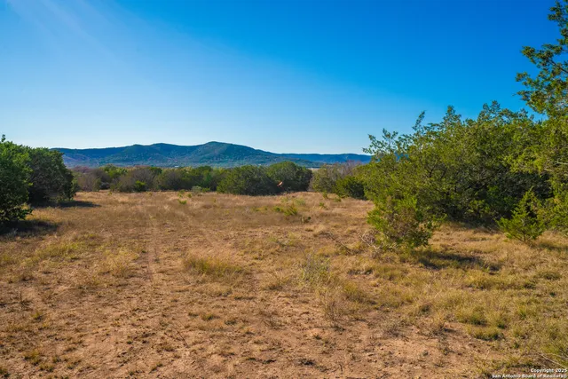 a view of outdoor space with garden