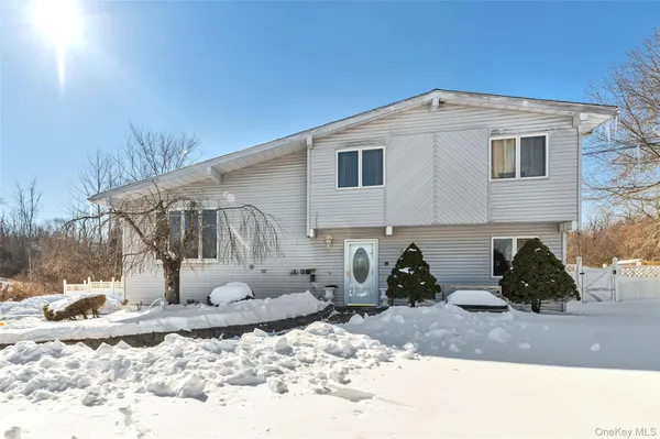 a view of a back yard of the house