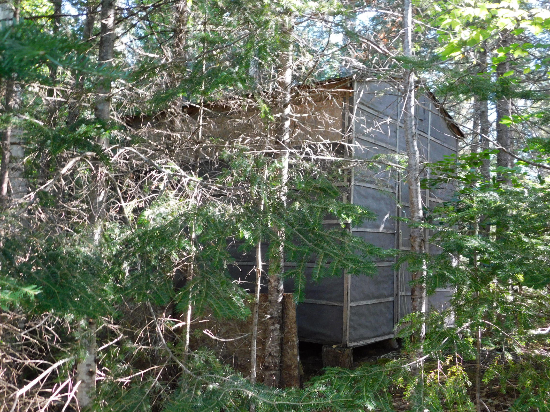 64 Bog Brook Road Kingfield, ME 04947 - Photo 12 of 17 DSCN0919