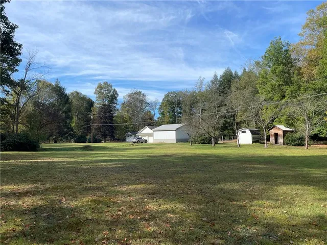 a view of a tree in the middle of a yard