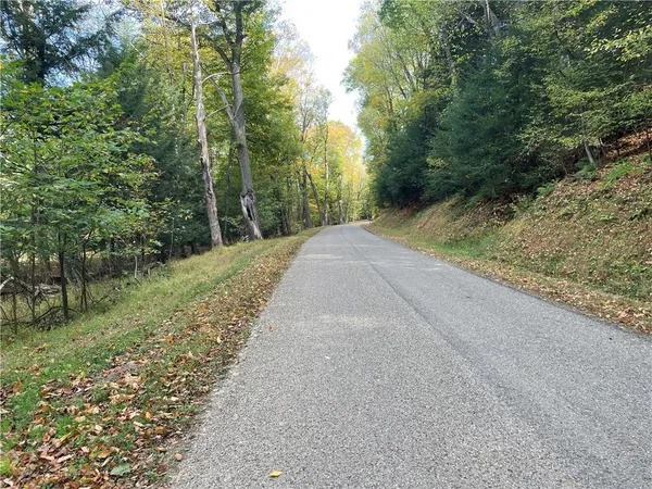 a view of a road with trees in the background