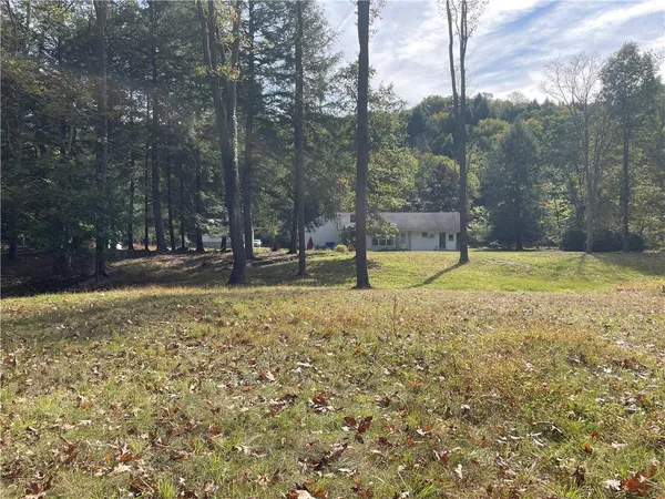 a view of a pathway both side of a yard