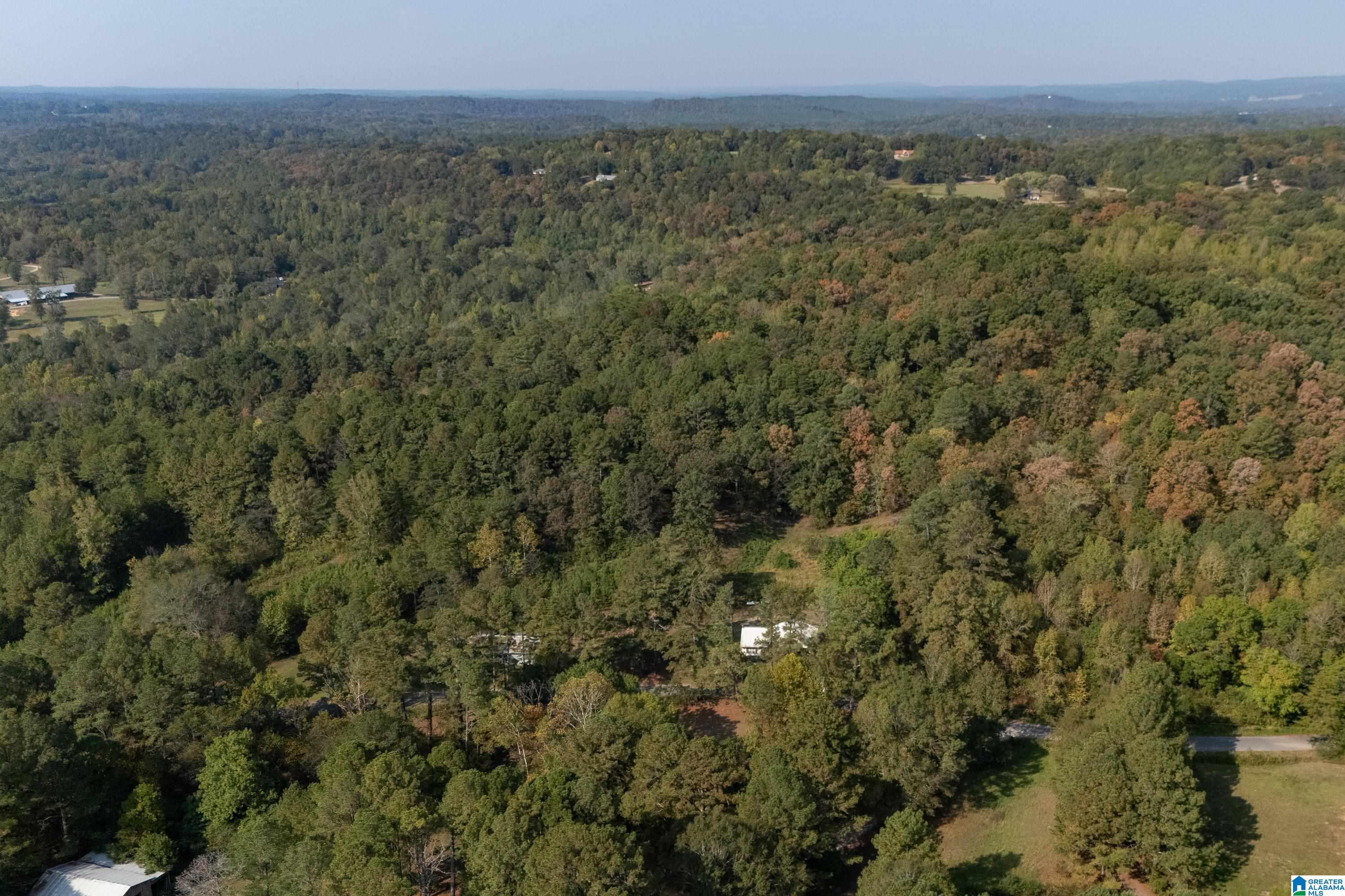 2787 Deavers Town Road Cleveland, AL 35049 - Photo 28 of 47