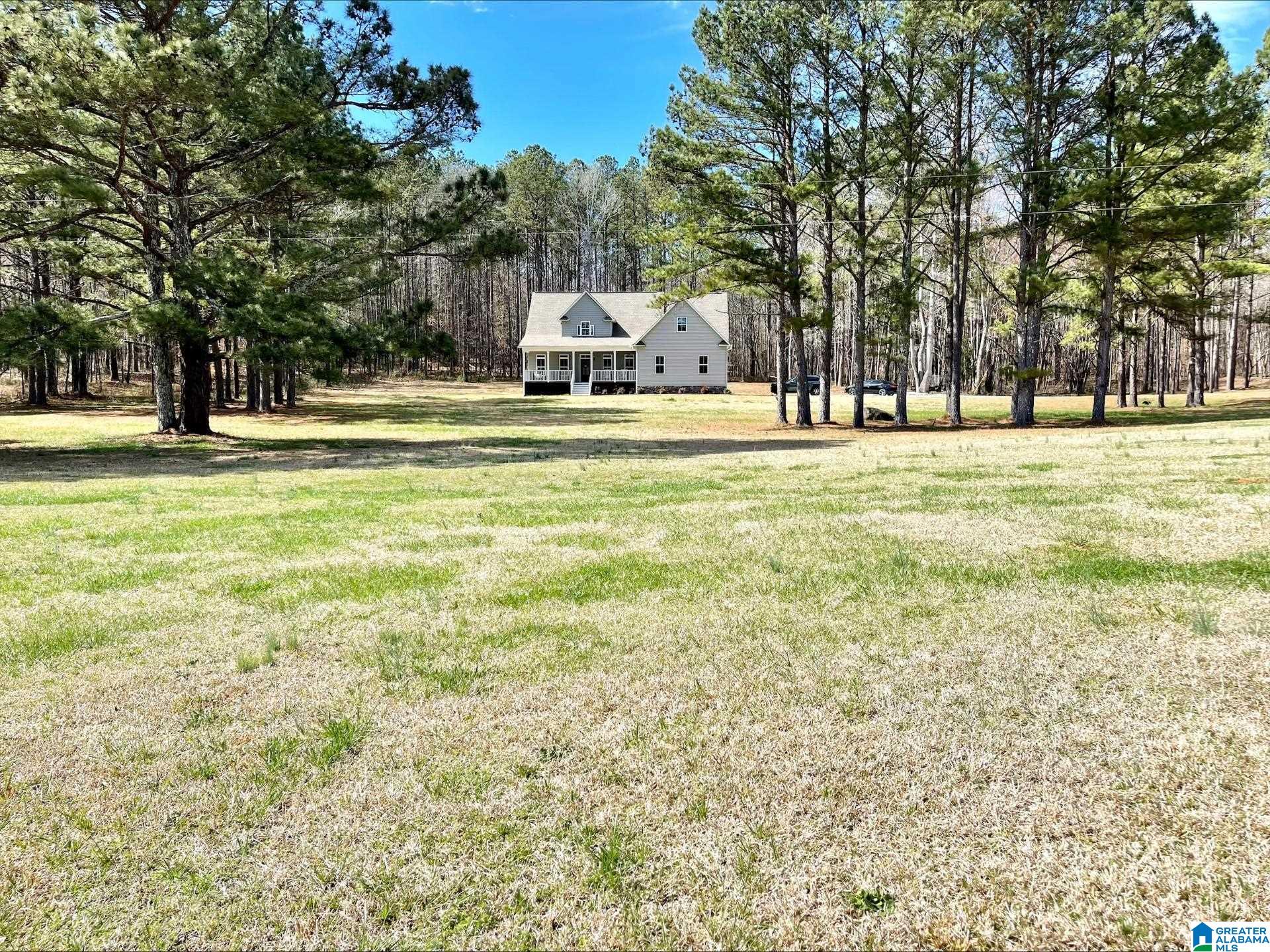 55 County Road 928 Delta, AL 36258 - Photo 2 of 28