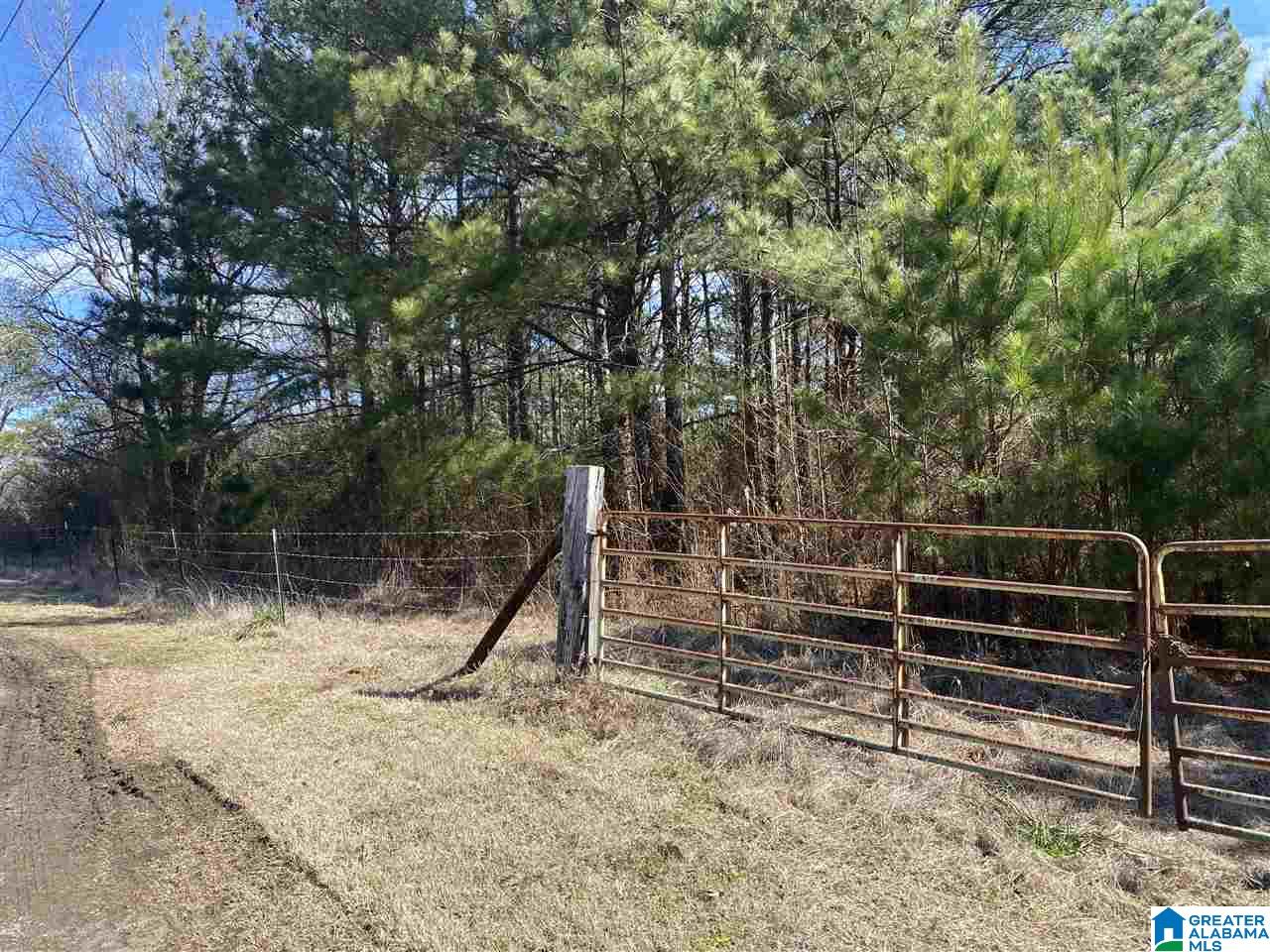 1560 Oren Miller Road, Unit 1 Warrior, AL 35180 - Photo 4 of 19