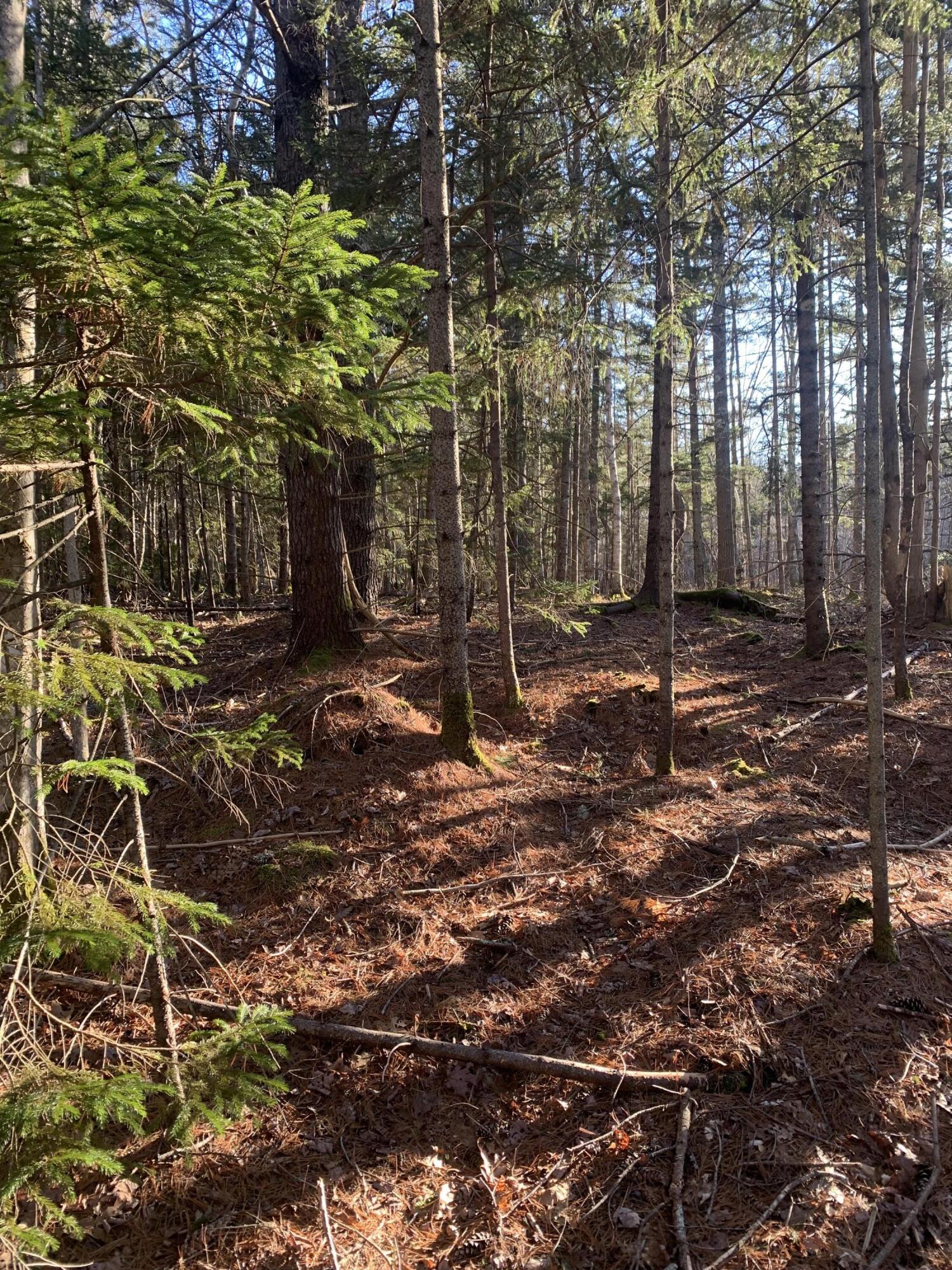 R07 Map Road Boothbay, ME 04537 - Photo 13 of 18 Image #13 - One of the Property Boundari