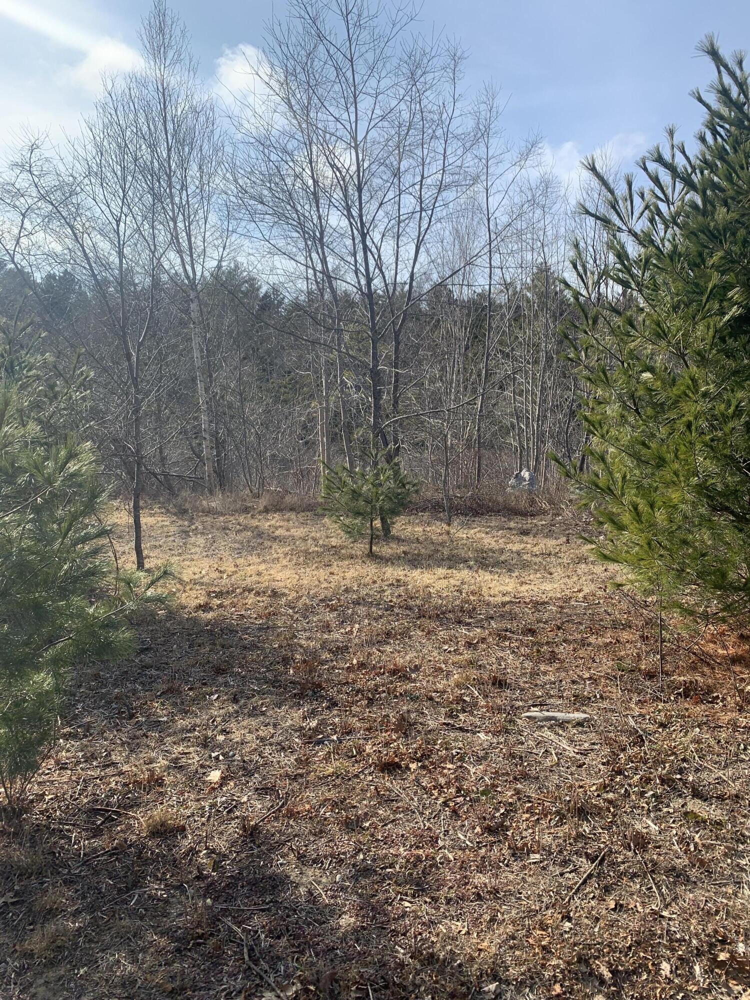 R07 Map Road Boothbay, ME 04537 - Photo 14 of 18 Image #14 - Off to the Side of Largest C