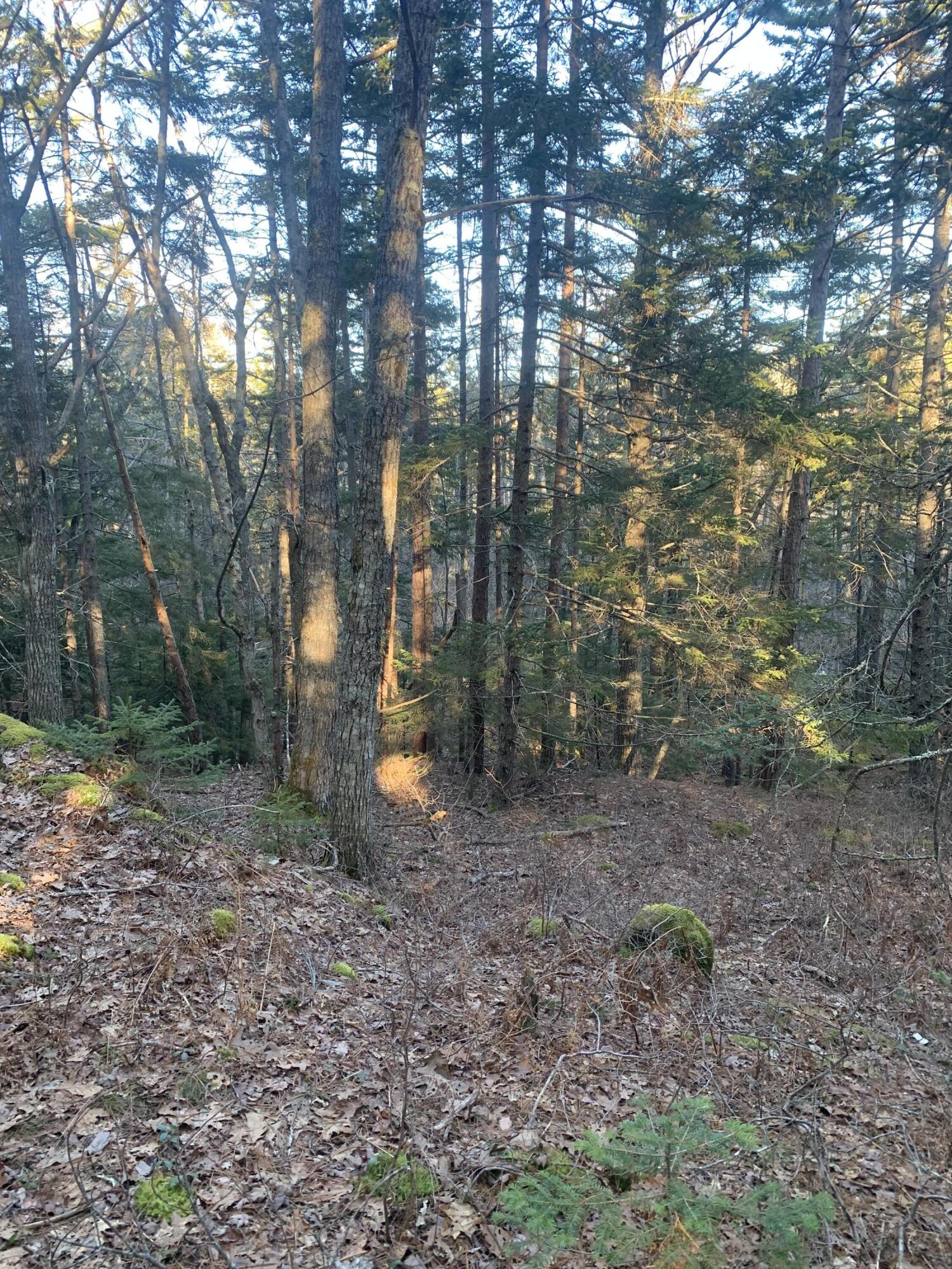 R07 Map Road Boothbay, ME 04537 - Photo 17 of 18 IMG_0026