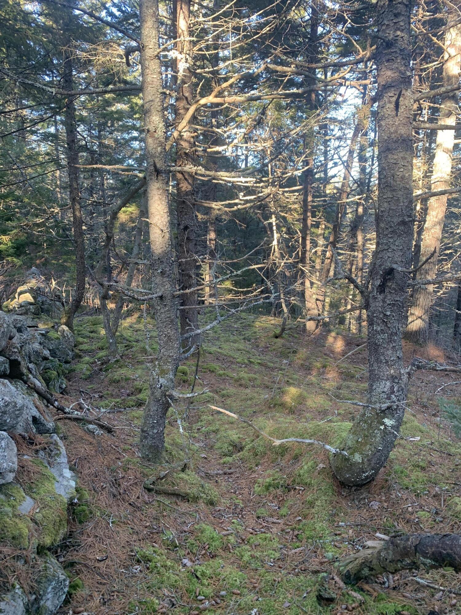 R07 Map Road Boothbay, ME 04537 - Photo 18 of 18 IMG_0027