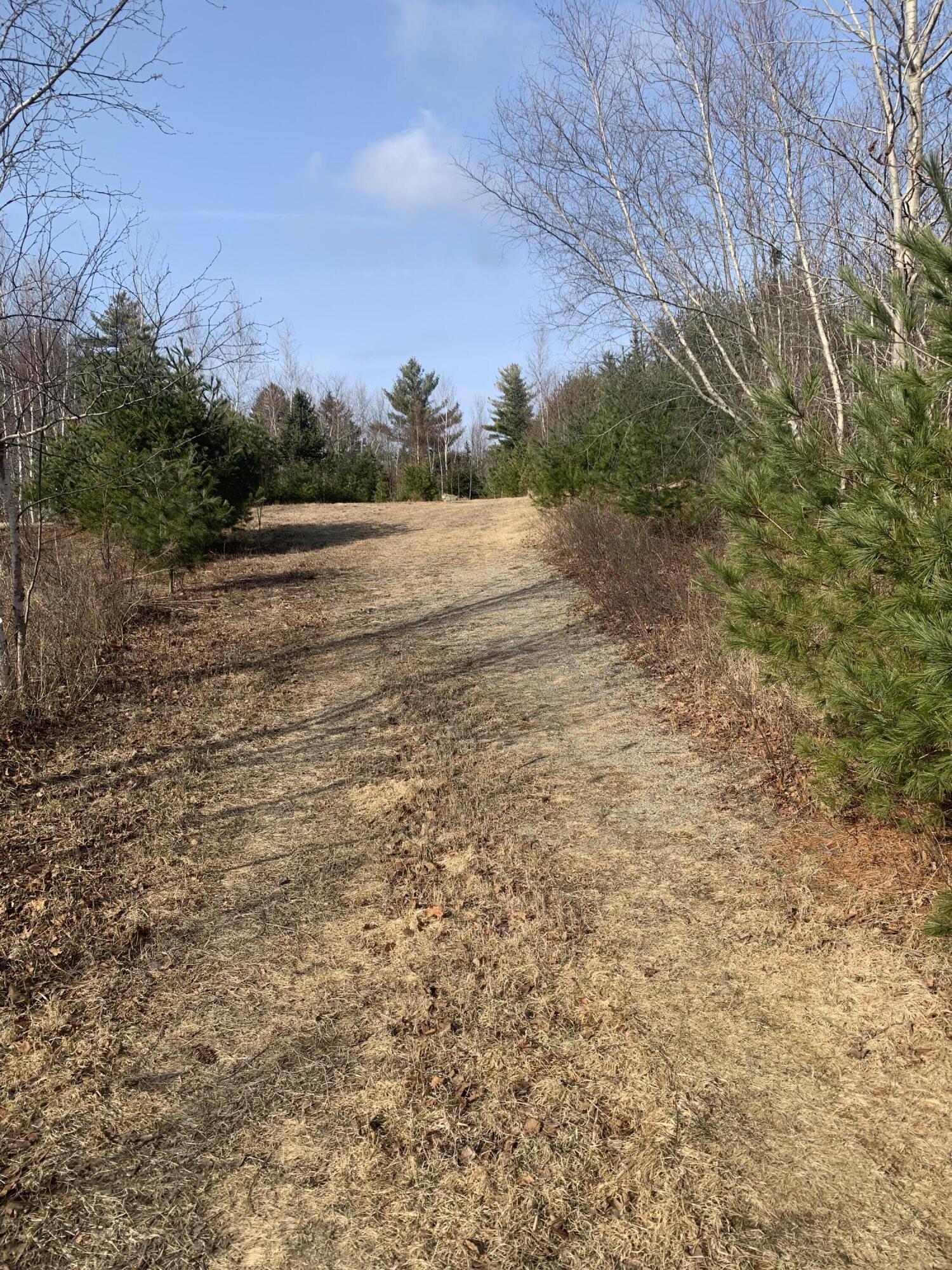 R07 Map Road Boothbay, ME 04537 - Photo 2 of 18 Image #2 - Looking at Driveway from the