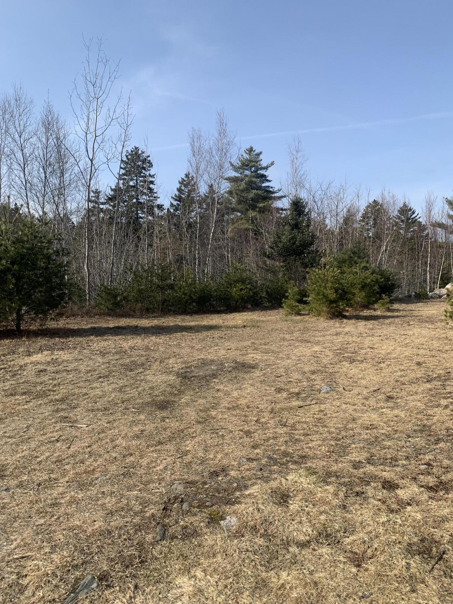 R07 Map Road Boothbay, ME 04537 - Photo 3 of 18 Image #3 - Portion of Largest Cleared A