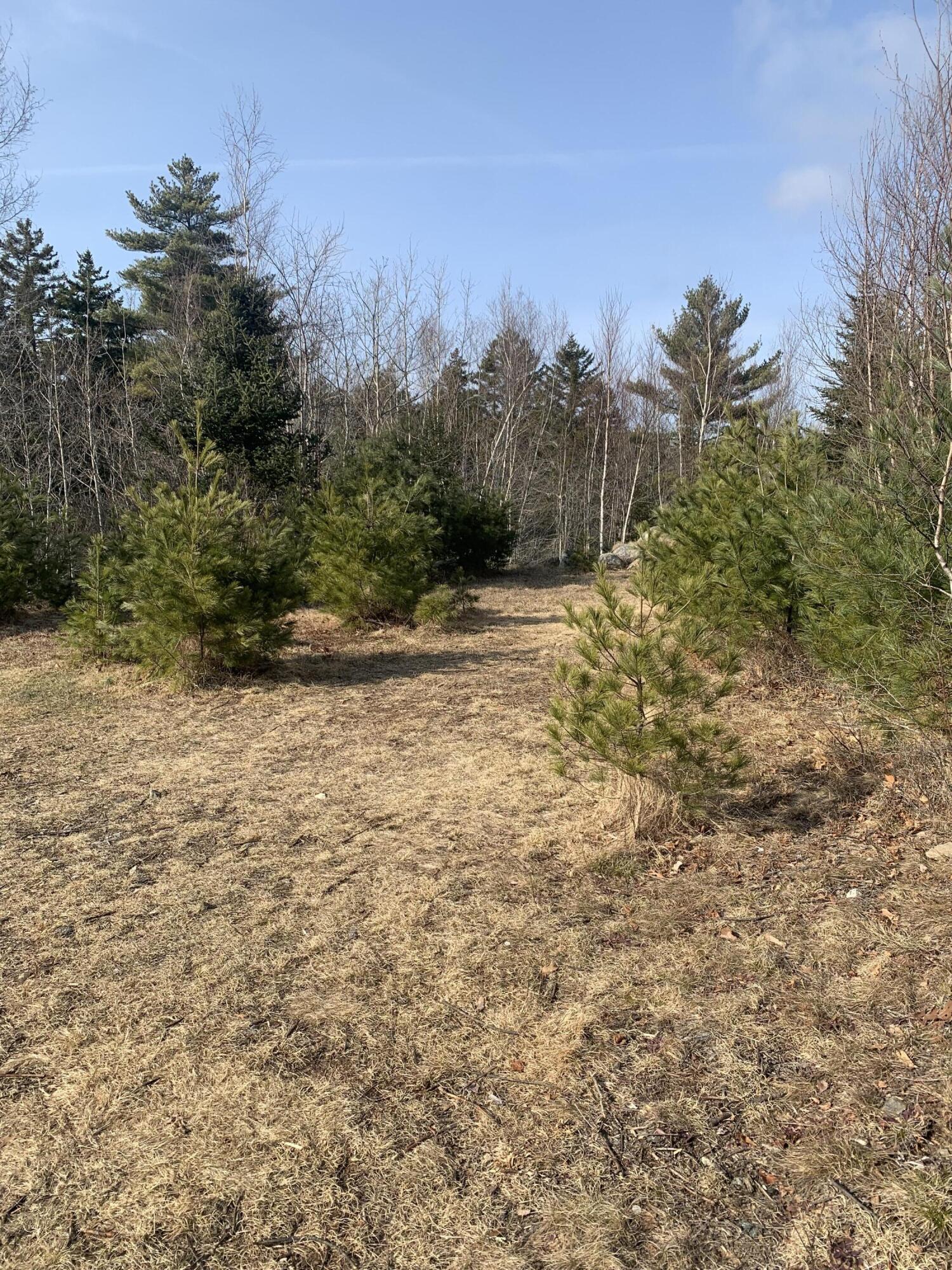 R07 Map Road Boothbay, ME 04537 - Photo 4 of 18 Image #4 - Toward Back of Largest Cleare