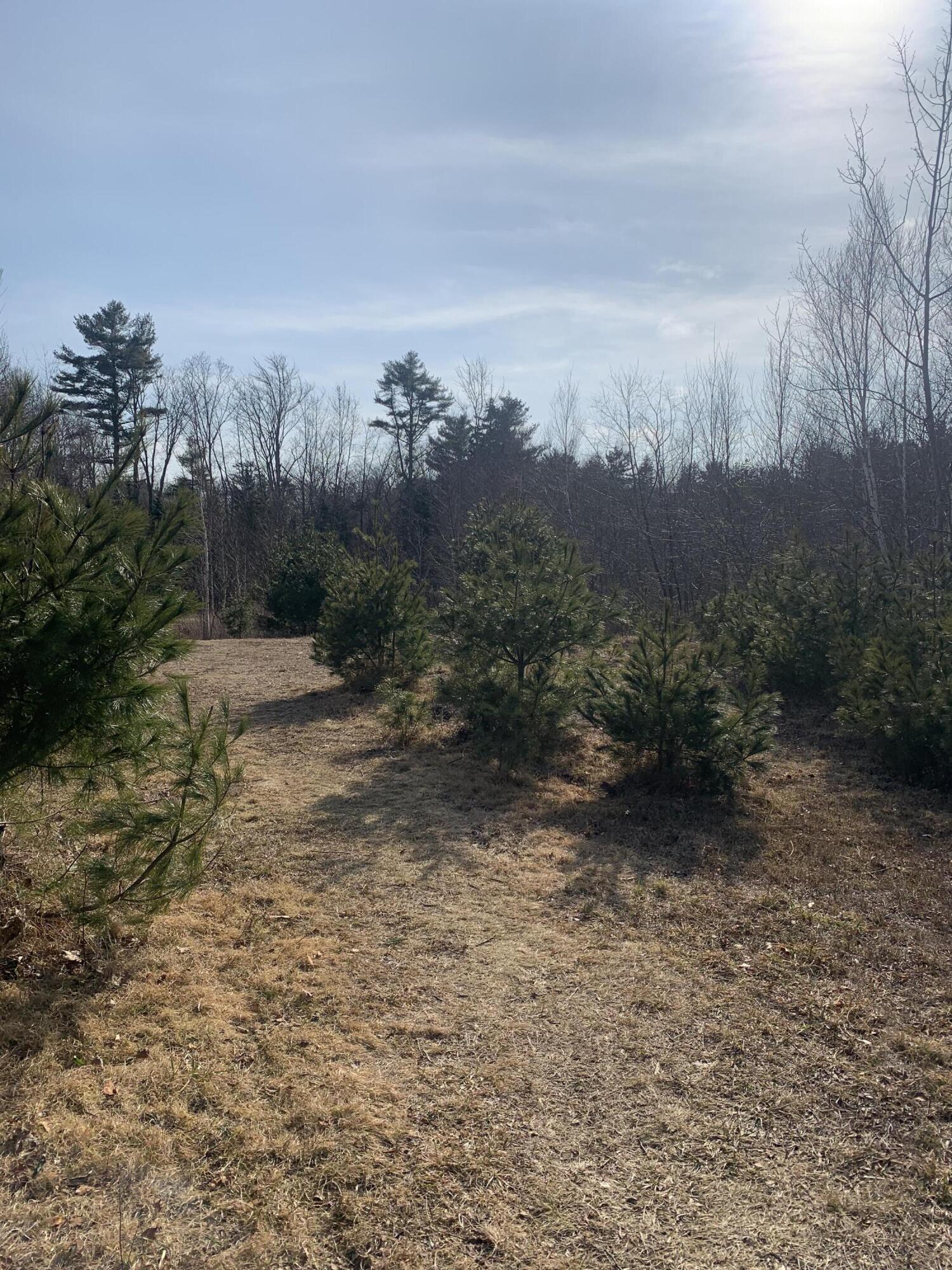 R07 Map Road Boothbay, ME 04537 - Photo 6 of 18 Image #6 - Leaving Largest Cleared Area