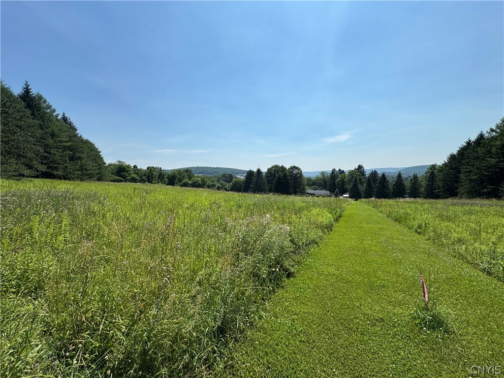 1 Bonney Hill Road Hamilton, NY 13346 - Photo 12 of 17
