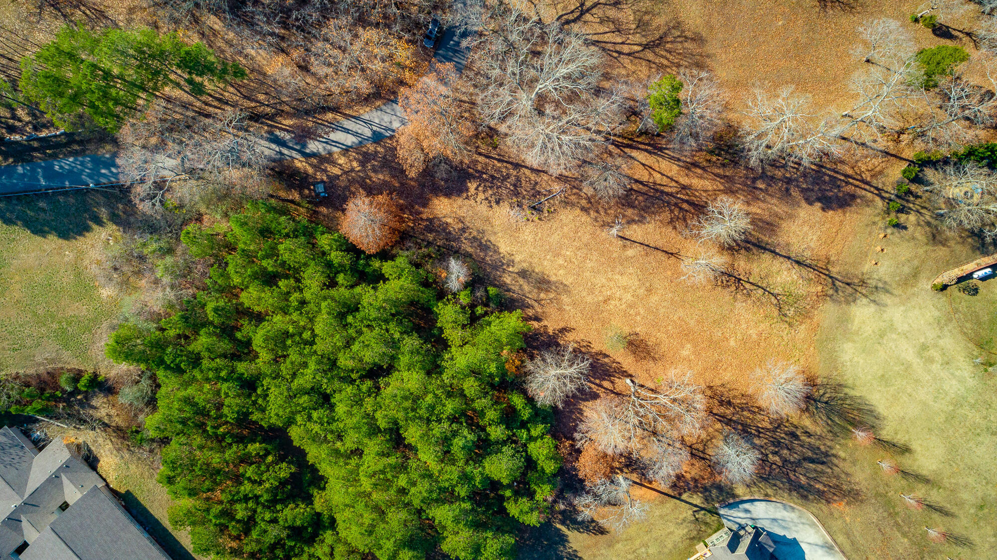 220 Albet Pilgrim Road Jasper, TN 37347 - Photo 8 of 16 220 Albert Pilgram Road HD-78