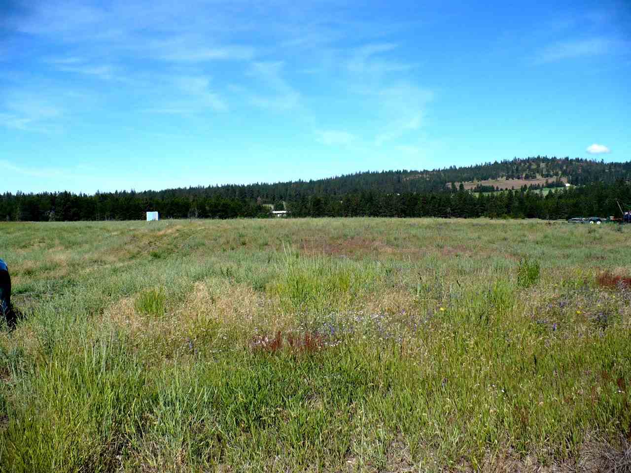 21005 North Spotted Road Deer Park, WA 99006 - Photo 6 of 8