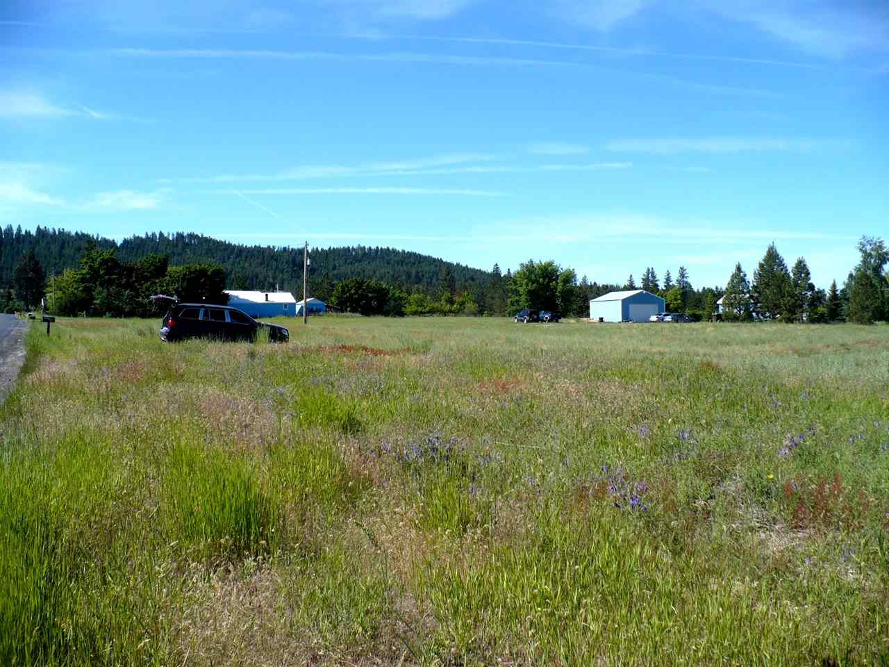 21005 North Spotted Road Deer Park, WA 99006 - Photo 7 of 8