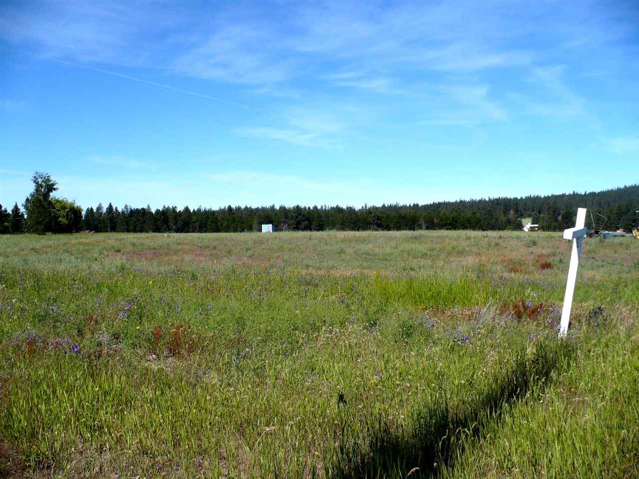 21005 North Spotted Road Deer Park, WA 99006 - Photo 8 of 8