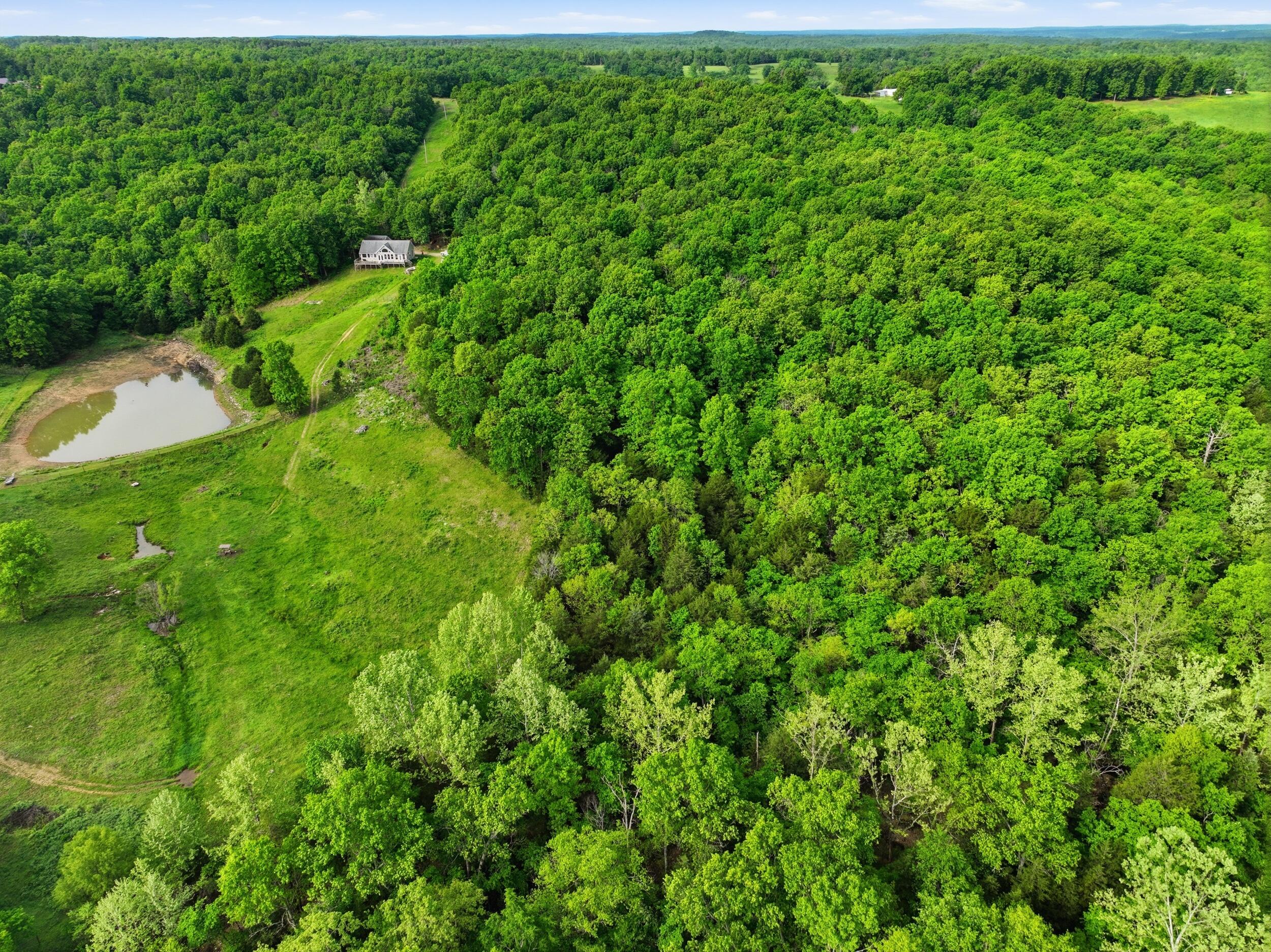 358 Co Road Caulfield, MO 65626 - Photo 53 of 74 dji_0998
