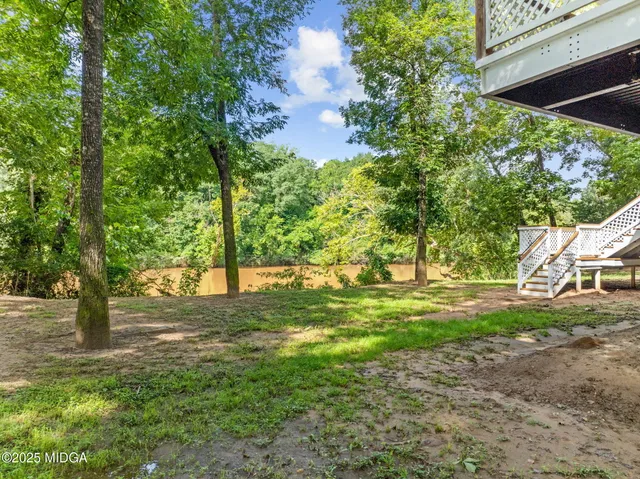 a view of a yard with plants and large trees