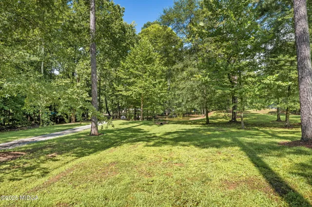a view of park with trees
