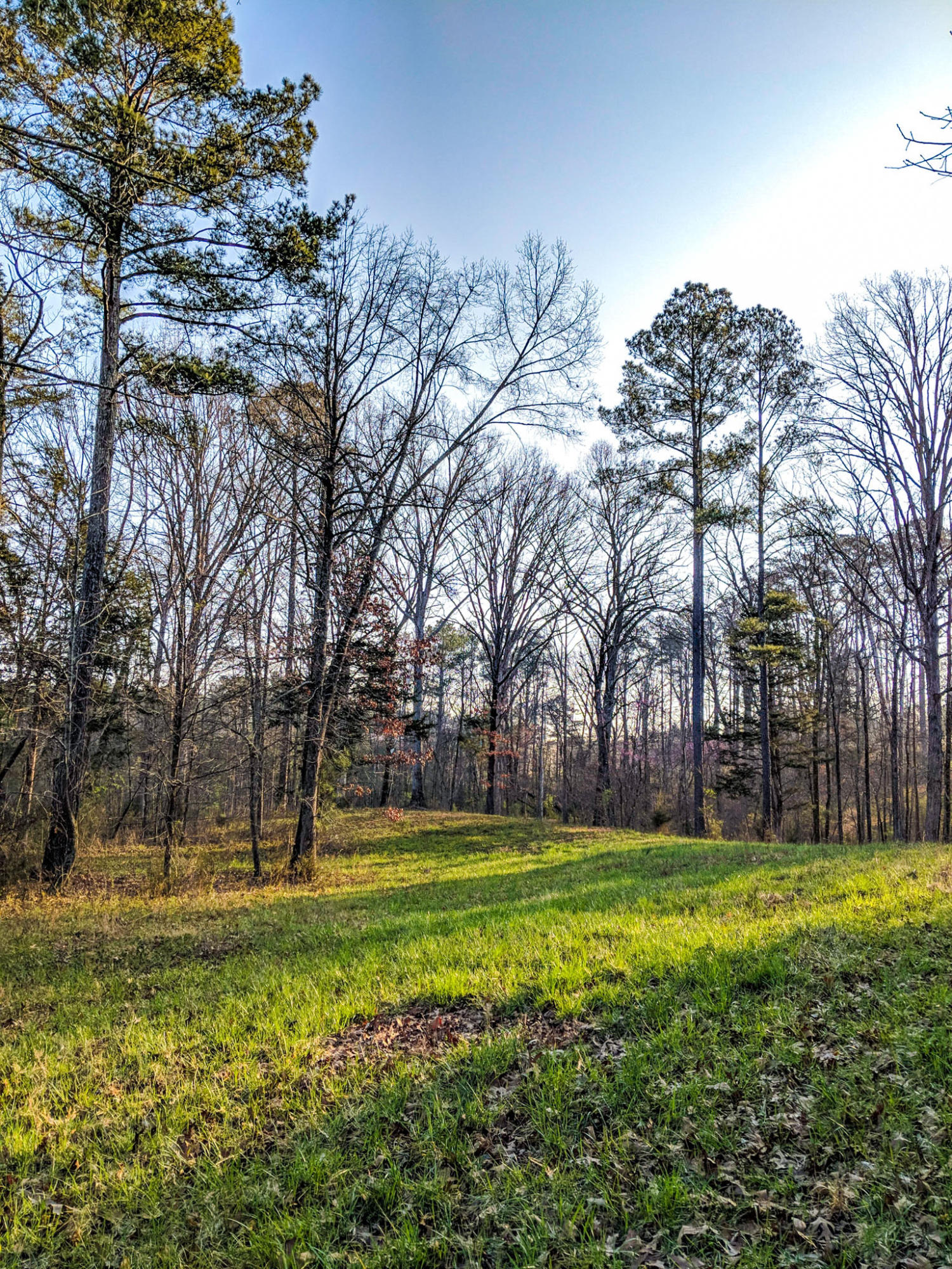 0 Bancroft Road, Unit LOT 13 McDonald, TN 37353 - Photo 1 of 38 aerial 7
