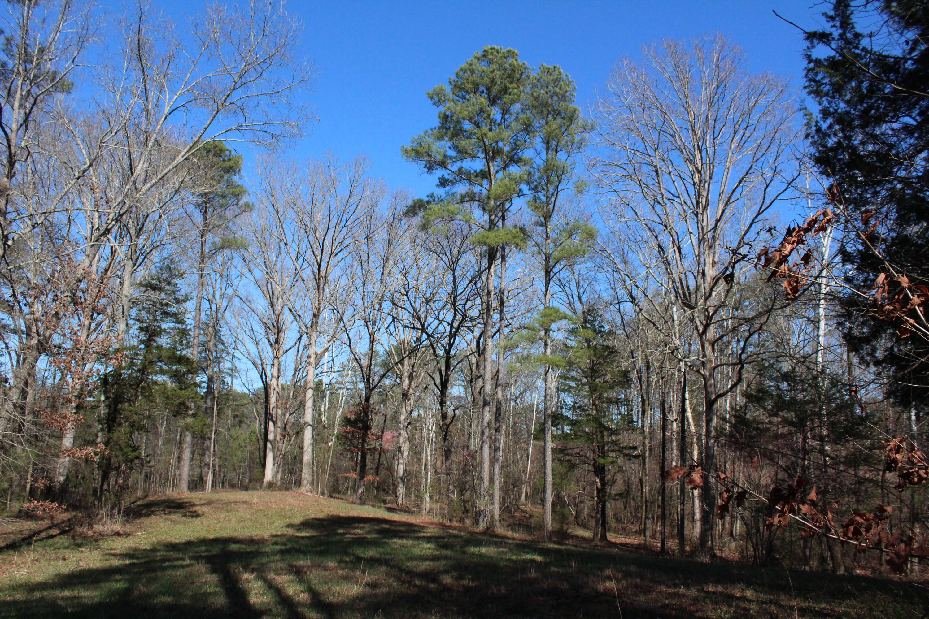 0 Bancroft Road, Unit LOT 13 McDonald, TN 37353 - Photo 12 of 38 IMG_1365
