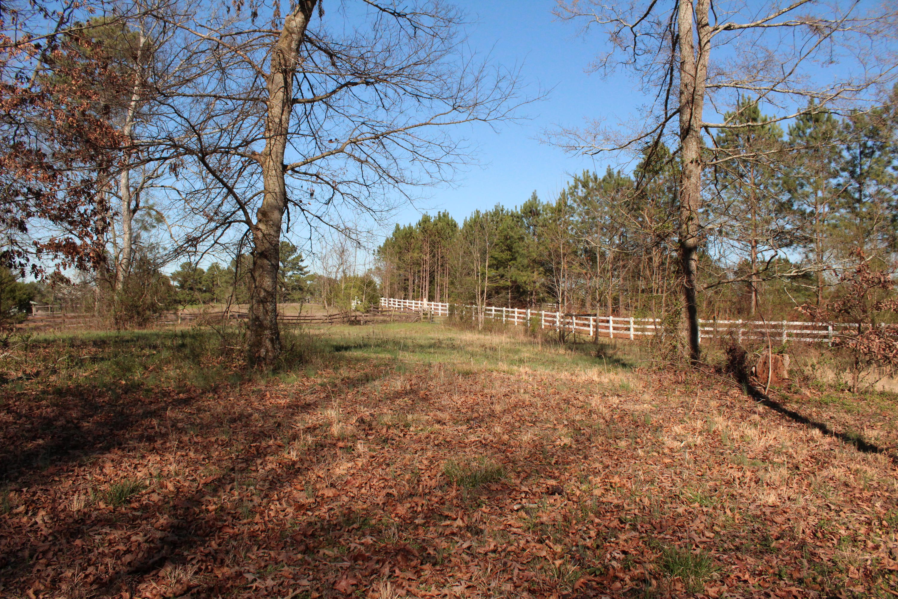 0 Bancroft Road, Unit LOT 13 McDonald, TN 37353 - Photo 18 of 38 IMG_1408
