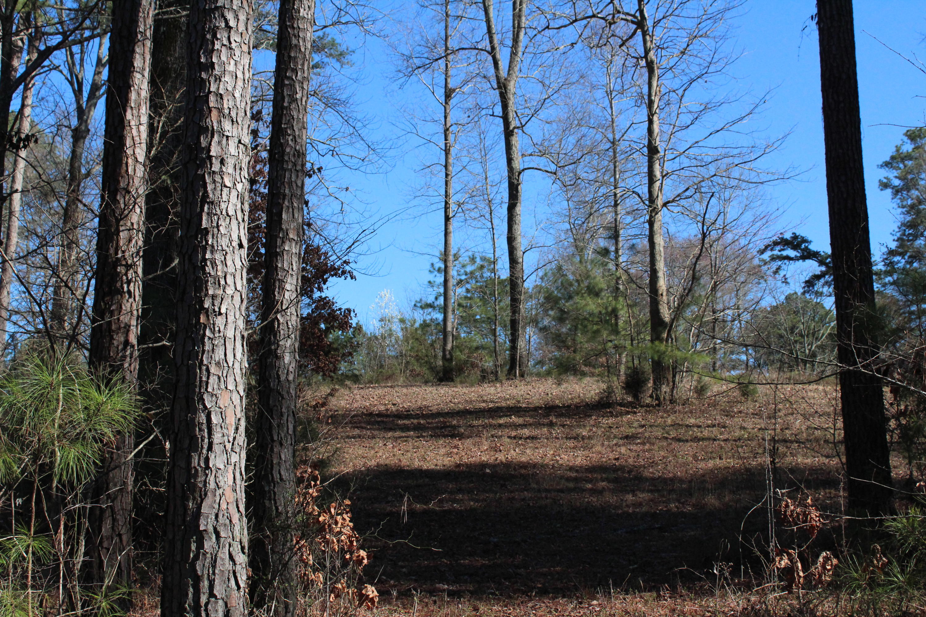 0 Bancroft Road, Unit LOT 13 McDonald, TN 37353 - Photo 19 of 38 IMG_1422