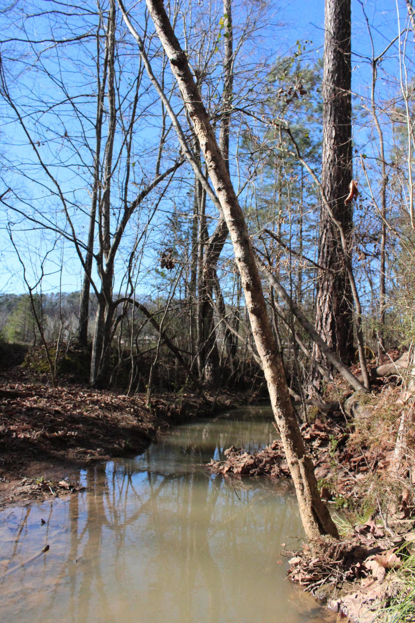 0 Bancroft Road, Unit LOT 13 McDonald, TN 37353 - Photo 20 of 38 IMG_1429