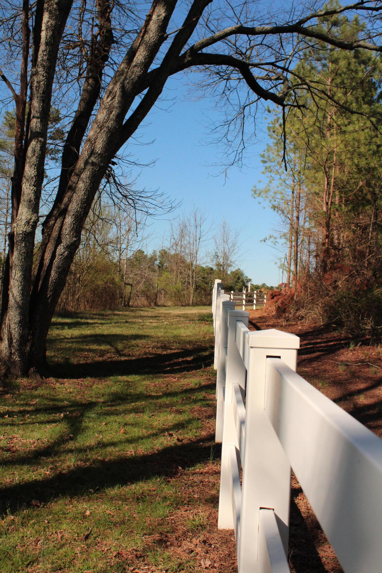 0 Bancroft Road, Unit LOT 13 McDonald, TN 37353 - Photo 2 of 38 IMG_1411