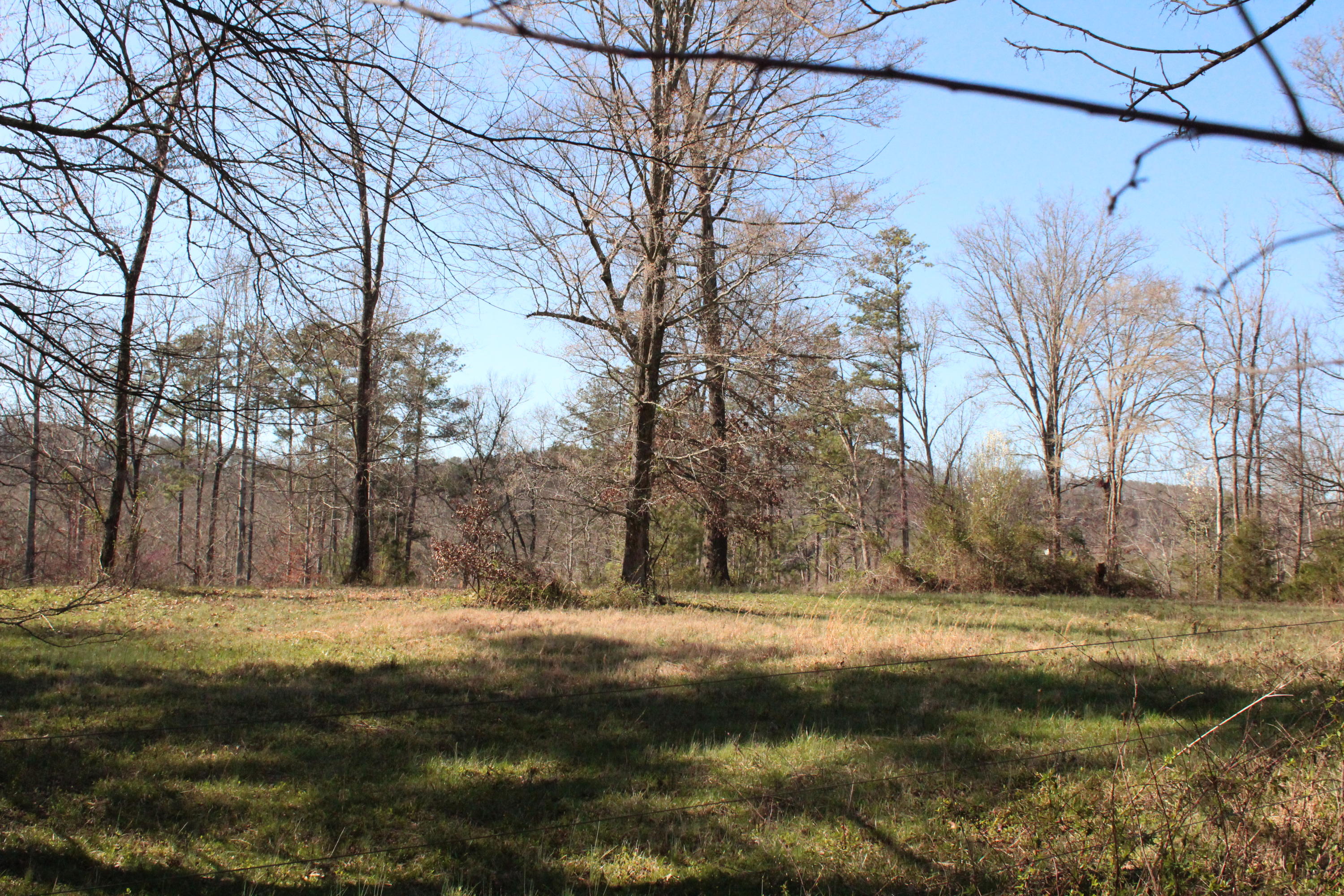 0 Bancroft Road, Unit LOT 13 McDonald, TN 37353 - Photo 23 of 38 IMG_1412